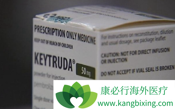 pd-1抑制剂keytruda联合卡铂与紫杉醇一线治疗肺癌效果