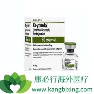 派姆单抗 派姆单抗