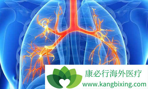 阿法替尼 阿法替尼