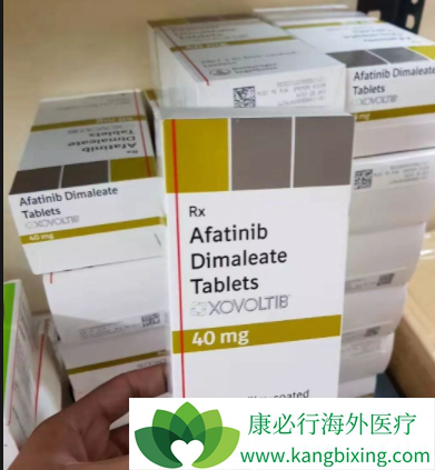 阿法替尼 阿法替尼