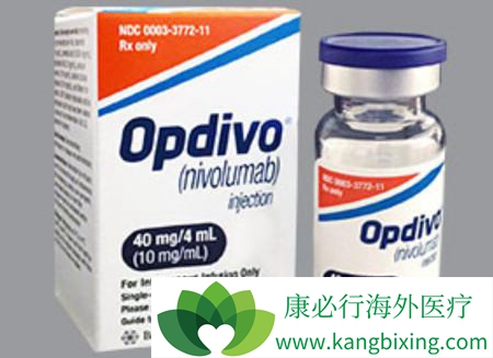 纳武单抗 纳武单抗