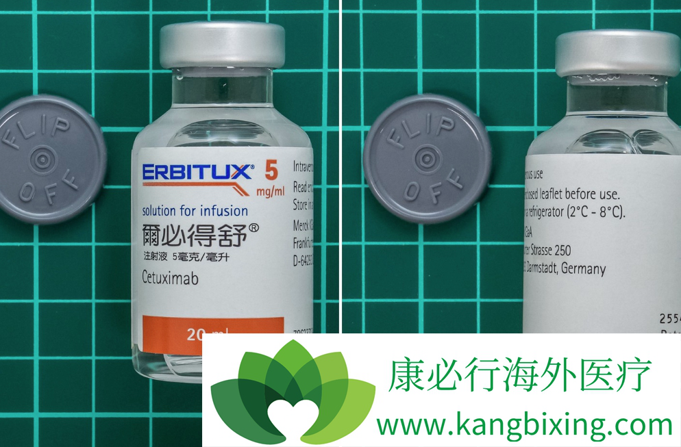 erbitux(西妥昔單抗)全球首個靶向表皮生長因子受體單克隆抗體