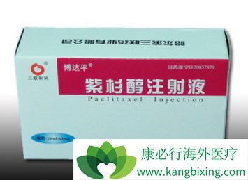 紫杉醇 紫杉醇