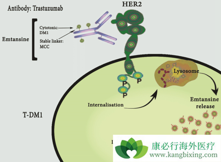 T-DM1