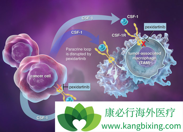 pexidartinib