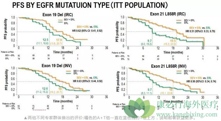 厄洛替尼 厄洛替尼