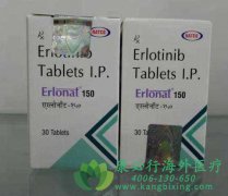 /޿(ERLOTINIB)ٵٰЧΣ