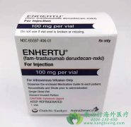 Enhertu/DS-8201HER2θеЧô