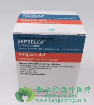 鲁比卡丁/卢比克替定(ZEPZELCA)在转移性肺癌治疗中的重要作用【康必行海外医疗】