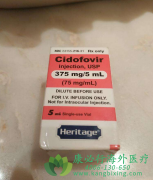 รΤ(CIDOFOVIR/SIDOVIS)ٲ