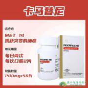 /(CAPMATINIB)ΪMETex14ͻNSCLCߵҪѡ