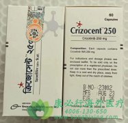 /(CRIZOTINIB)ROS1NSCLCеЧ