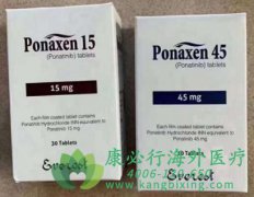 /(PONATINIB)CMLڻߵеЧ