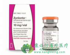 (ZYNLONTA/LONCASTUXIMAB)ܻΪܰȶƵҪѡ֮һ