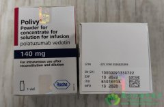 鵥(POLIVY/POLATUZUMAB)ž׼