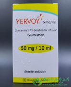 ƥľ(YERVOY/PEMBROLIZUMAB)ڷСϸ