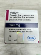 鵥(POLIVY/POLATUZUMAB)ٴʵչֳĿЧͰȫ