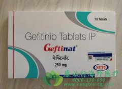 /(GEFITINIB)ڷСϸΰ