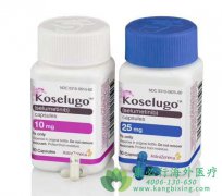 ˾(Koselugo/Selumetinib)ڿ