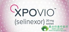 ϣά/(Selinexor/XpovIO)Ϊ