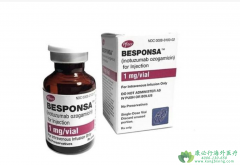 Ӣ鵥/(BESPONSA)Ϊ