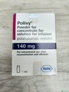 鵥(Polivy/Polatuzumab)ΪԴBϸܰṩµѡ