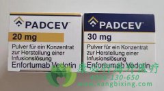 ŵ(Padcev/Enfortumab vedotin-ejfv)