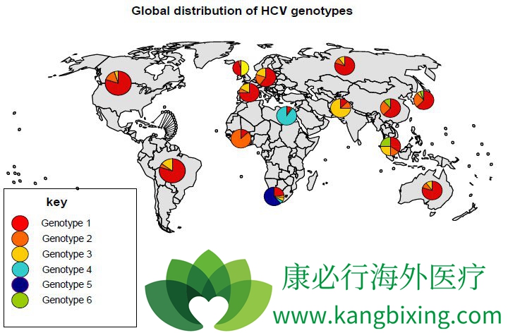 丙型肝炎基因型分布图