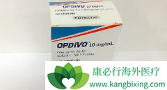 ޽ᰩ֢ṩPD-1ƼOpdivo