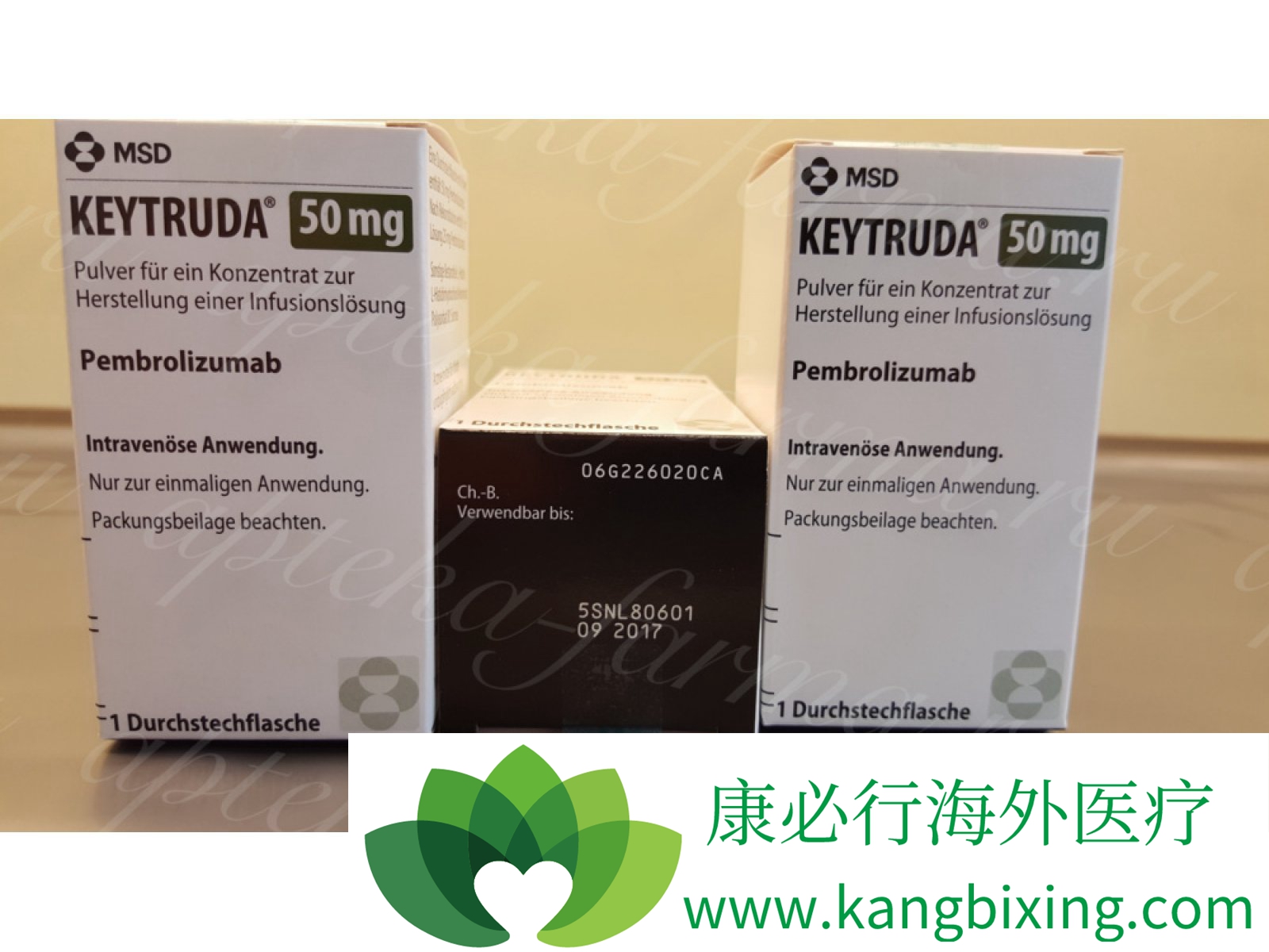 pd1抑制剂keytruda是如何被研发并上市的