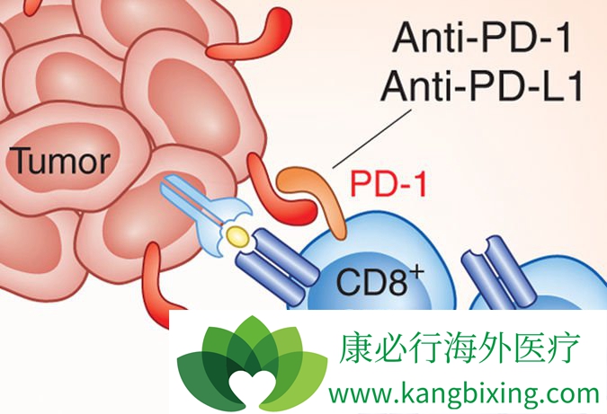 PD-1 Tϸ