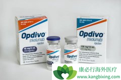 PD-1Opdivoθʼ37%